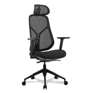 Bragg Executive Mesh Chair with Headrest in Black Fabric