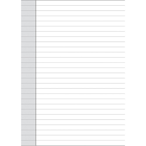 DEBDEN DAYPLANNER PERSONAL EDITION REFILLS - 6 RING Notepad - White