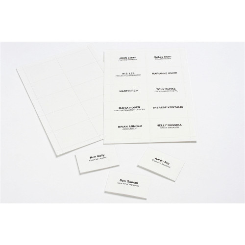 REXEL INSERT CARDS FOR HOLDERS 90mm x 55mm - 25 sheets x 10 cards. (Pack of 250)