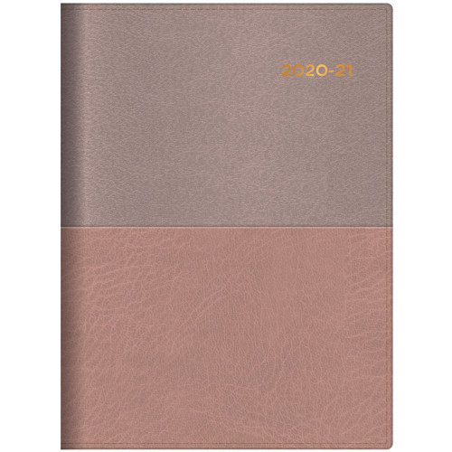 Collins Vanessa Financial Year Diary A4 1 Day to a Page 30min Champagne (2024-2025)