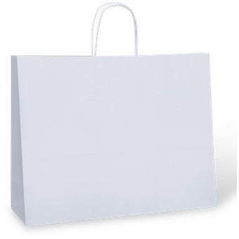 White Kraft Paper Carry Bags TPC Boutique Size 350mm(H) x 450mm (W) + 125mm (G) with Paper Loop Handles (Carton of 500) (Pack of 250)