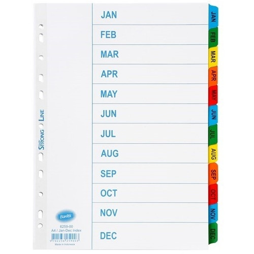 Bantex Indices A4 Jan - Dec Tab Coloured Dividers Mylar (6259)