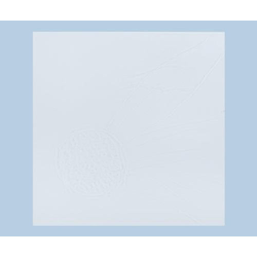 Clear Acrylic Shapes Bases - Square 10 x 10cm / Pack of 5
