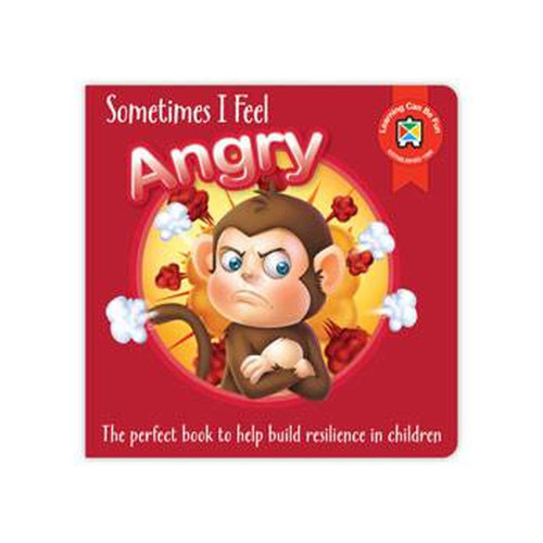 Sometimes I Feel Angry Book