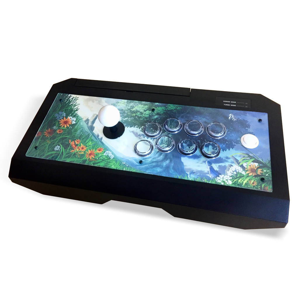 Blank Plexi Cover for Hori Real Arcade Pro.V (Japan Import