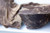 Maretai - Bulk Organic Cacao Paste / Cocoa Paste - Ceremonial - 20kg (4 x 5kg blocks)