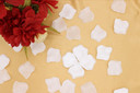 100 pcs Silk Rose Petals White