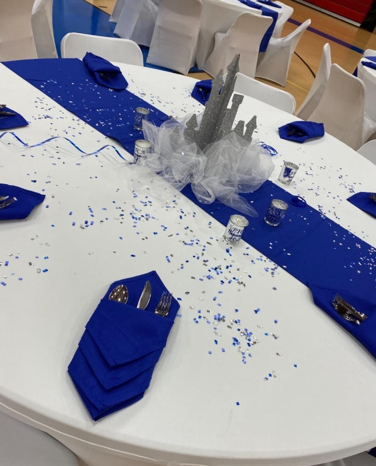 royal blue cloth napkins
