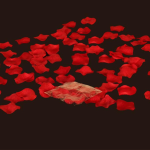 Rose Petals