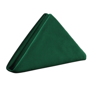 10 Pack 20 Inch Velvet Cloth Napkins