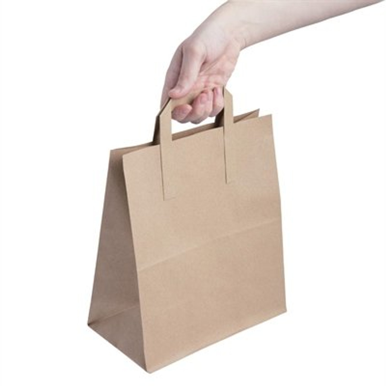 Brown Paper Shopping Bag Capacity 6 Kg