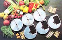 IGF 4500 Commercial Stainless Steel Vegetable Slicer & Cheese Grater (200kg/hr)