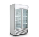 LG-1200GT Double Glass Door Colourbond Upright Drink Fridge 1075 Litre