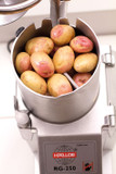 Hallde RG-250 Vegetable Prep Machine Hallde RG-250 Vegetable Prep Machine