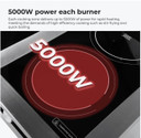 Electmax 700 Series Induction 2-Burner Cooker with Splashback EIC7-400P