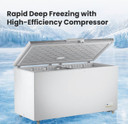 Thermaster BD520F 520L Commercial Chest Freezer with Stainless Steel Lid