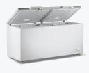 600L Chest Freezer with Stainless Steel Lid