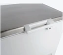 Thermaster BD600F 600L Commercial Chest Freezer with Stainless Steel Lids (1800mm Wide)