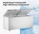 Thermaster BD600F 600L Commercial Chest Freezer with Stainless Steel Lids (1800mm Wide)