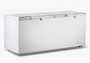 750L Chest Freezer with Stainless Steel Lid