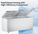 750L Chest Freezer with Stainless Steel Lid