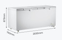 750L Chest Freezer with Stainless Steel Lid
