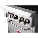 Thor GH100-P 4 Burner Oven with Flame Failure LPG TR-4F LPG Thor GH100-P 4 Burner Oven with Flame Failure LPG TR-4F LPG