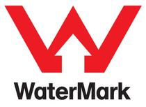 FE32 550mm High Sink Mixer