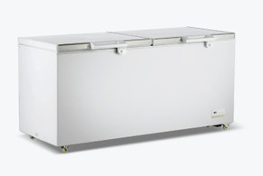 600L Chest Freezer with Stainless Steel Lid