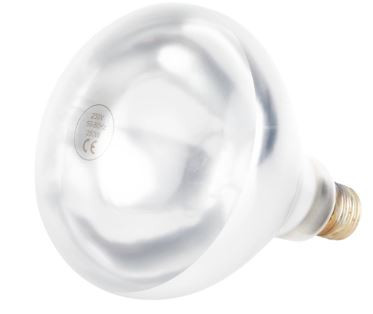 250W Shatterproof Infrared Heat Lamp ES