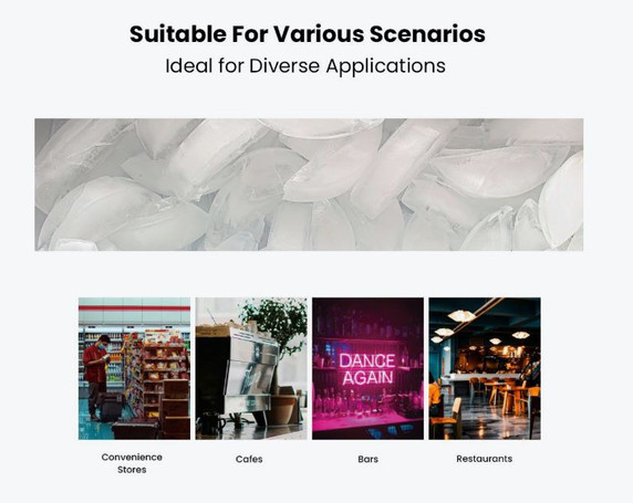 Blizzard Professional Ice Maker - SN-80C