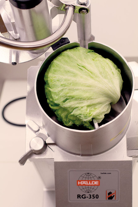 Hallde RG-350 Vegetable Preparation Machine Hallde RG-350 Vegetable Preparation Machine