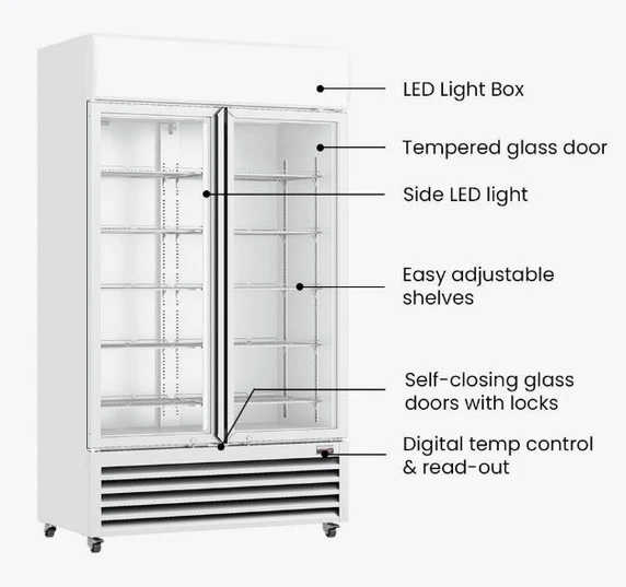 Thermaster LG-1200P Large Two Glass Door Colorbond Upright Beverage Display Fridge (1075L)