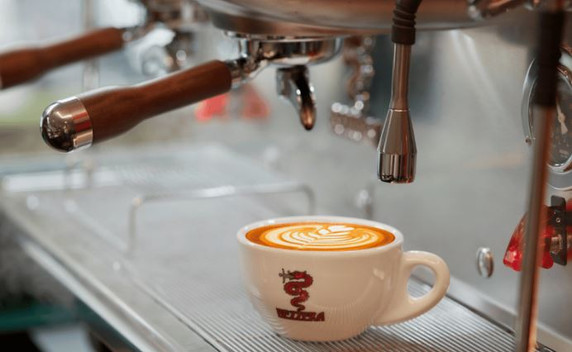 Bezzera VICTORIA White 2-Group Professional Espresso Machine - BZVICTORIA2W