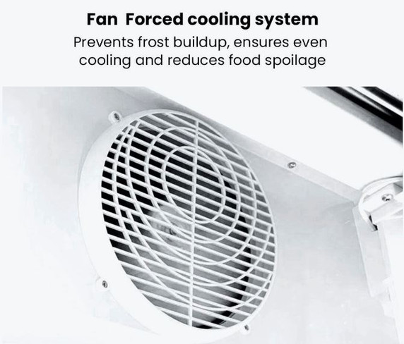 Thermaster Large Two Glass Door Colourbond Upright Drink Fridge LG-1200BP