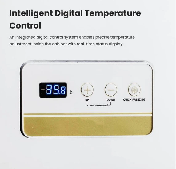 Thermaster BD600F 600L Commercial Chest Freezer with Stainless Steel Lids (1800mm Wide)