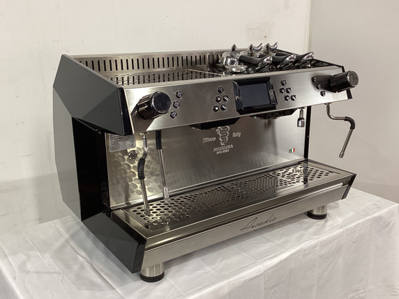 Bezzera ARCADIA-G2DP 2 Group Coffee Machine