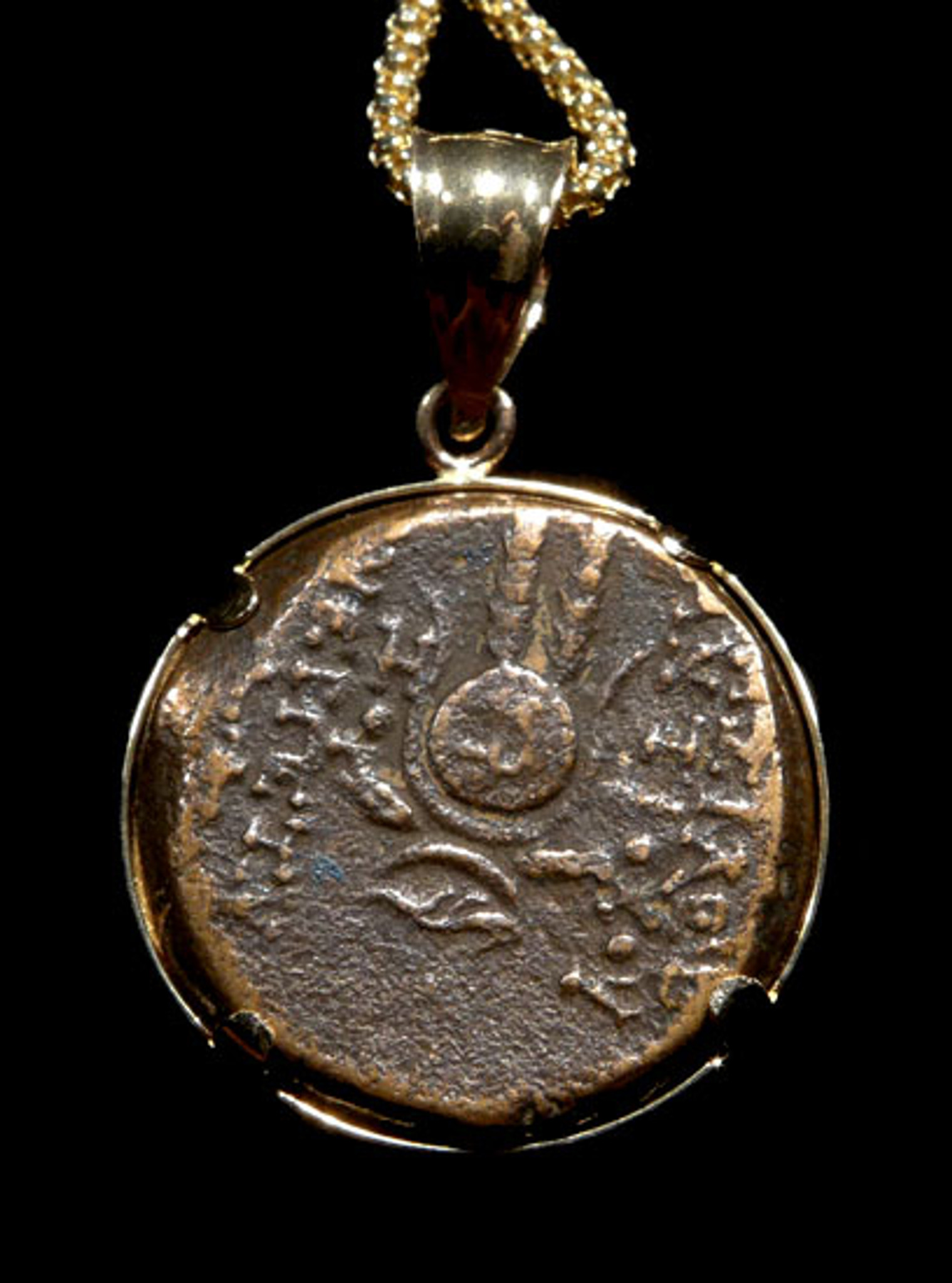 Women Brown Elastic Bejeweled Belt Gold Metal Greek Coin Medallion Charm  Fit S M