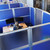 Overhead view of a worker at a desk inside blue office cubicles with frosted partition panels