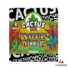  Cactus Labs D9 Kickers 500mg D9 Gummies (1 Gummy Per Pack) *Dispenser Display of 25*