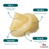The Hemp Doctor THCA Batter 2g Dabs *Sold As Singles*