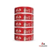 ALP Drifters Collection Nicotine Pouches (20 Pouches Per Can) *Display of 5 Cans*