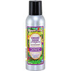 Smoke Odor 2.5oz Exterminator Spray