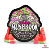 Tre House Magic Mushroom Gummies (15 Gummies Per Pouch) - Watermelon Wonder
