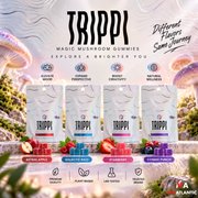 Trippi Magic Mushroom Gummies (10 Gummies Per Pack) *Display of 5* 