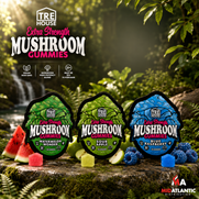 Tre House Magic Mushroom Extra Strength Gummies (10 Gummies Per Pack) *Display of 10*
