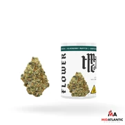 [DropShip] Modern Herb Co. THCA 3.5g Flower *Display of 6*