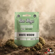 Gas Boys Boutique THCA 3.5g Flower *Display of 8*