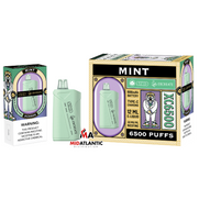 Strio x EBCreate XC6500 6500 Puffs 50mg 12mL Disposables *Dislay of 5* - Mint