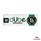 Dube Papers (50 Leaves Per Booklet / Assorted Colors & Sizes) - 1 14 (Green)